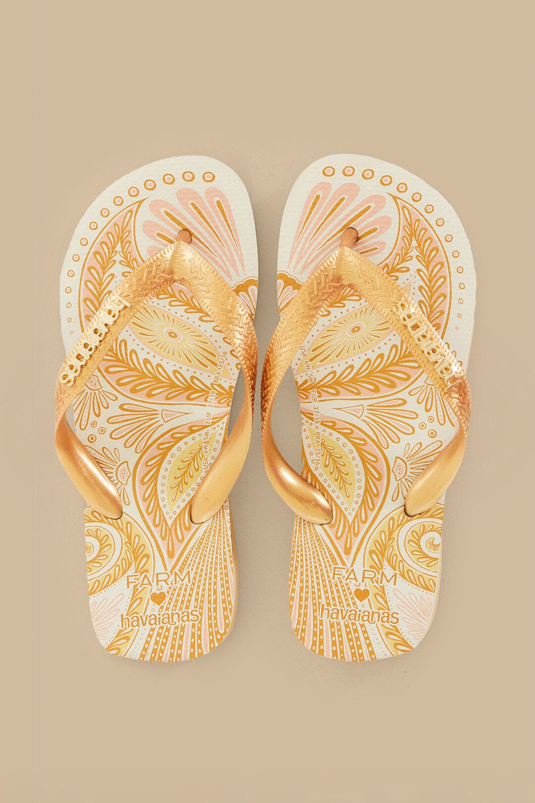 Papillon Havaianas