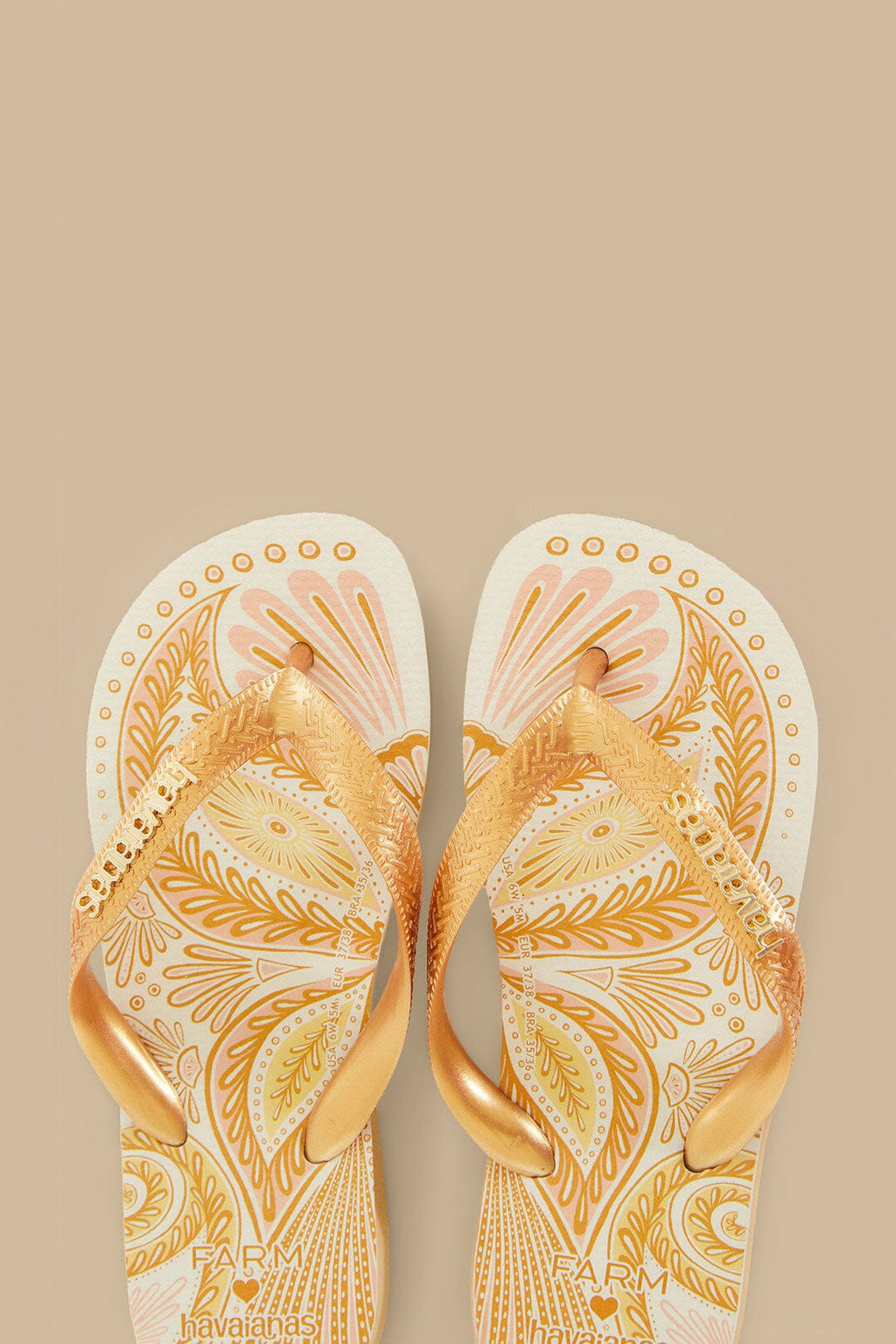 Papillon Havaianas